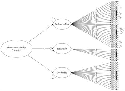 Do professionalism, leadership, and resilience combine for professional identity formation? Evidence from confirmatory factor analysis